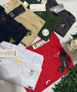 Camiseta fio 30 algodão